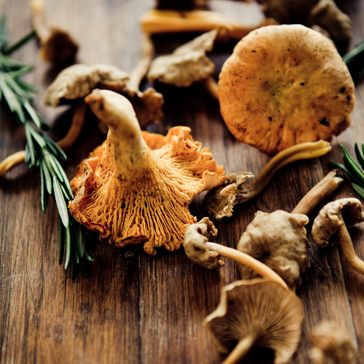 Roasted Mushroom Stock and Demi-Glace