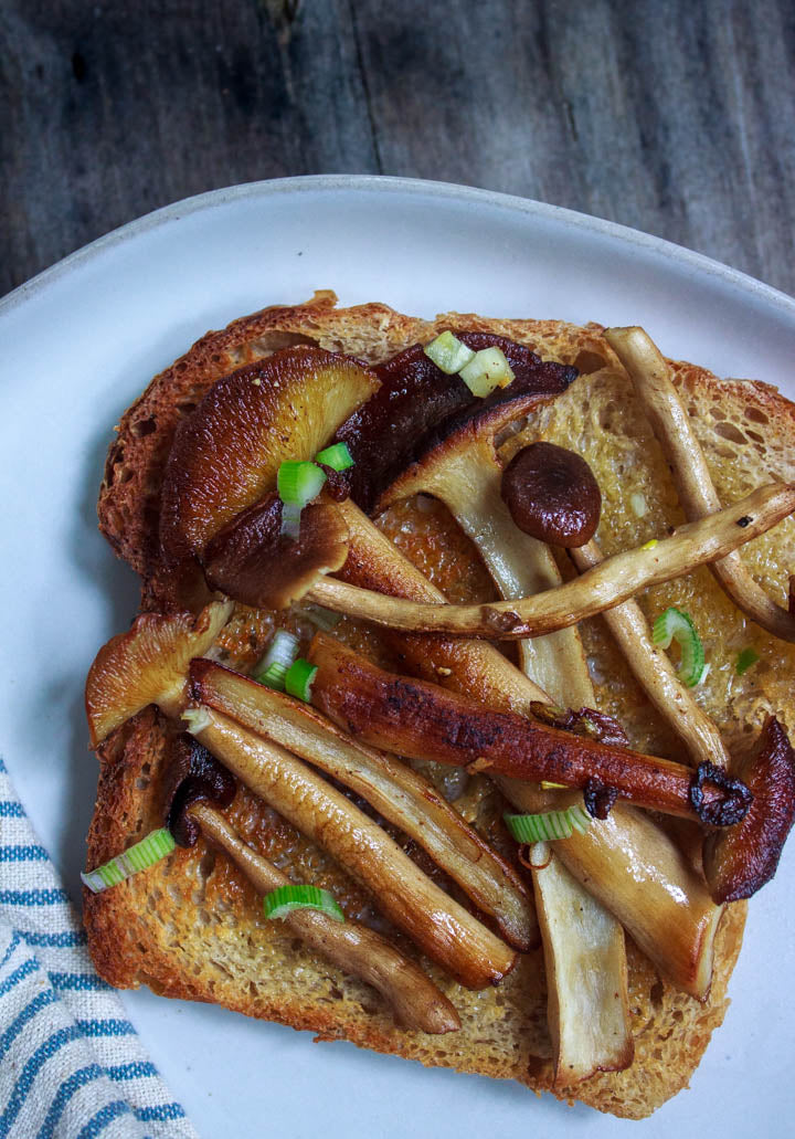 Pan-Fried Pioppino Mushrooms