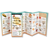 Mushrooms of the Rocky Mountain Region