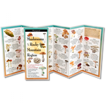 Mushrooms of the Rocky Mountain Region