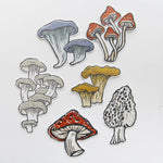 Morel Mushroom Eco-Friendly Paper Sticker