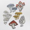 Oyster Mushroom Sticker