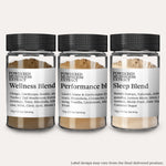 Mushroom Powder Extract: One Week Supply (10g)