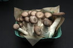 Fresh Black Pearl Mushrooms