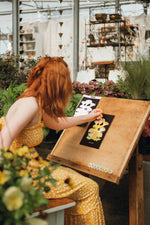 Golden Oyster Mushrooms Paint-by-Number Kit