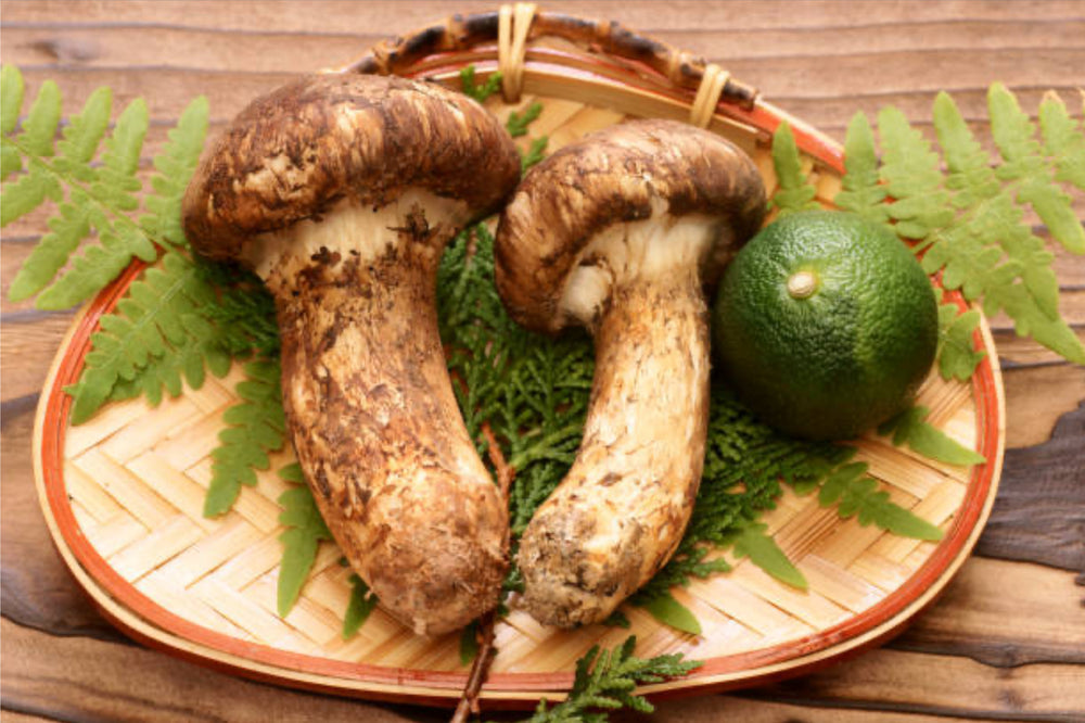 Matsutake