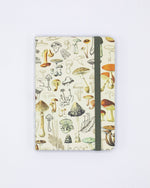 Woodland Mushrooms Observation Softcover (Case of 6)