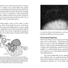 Mycocultural Revolution: Transforming Our World with Fungi
