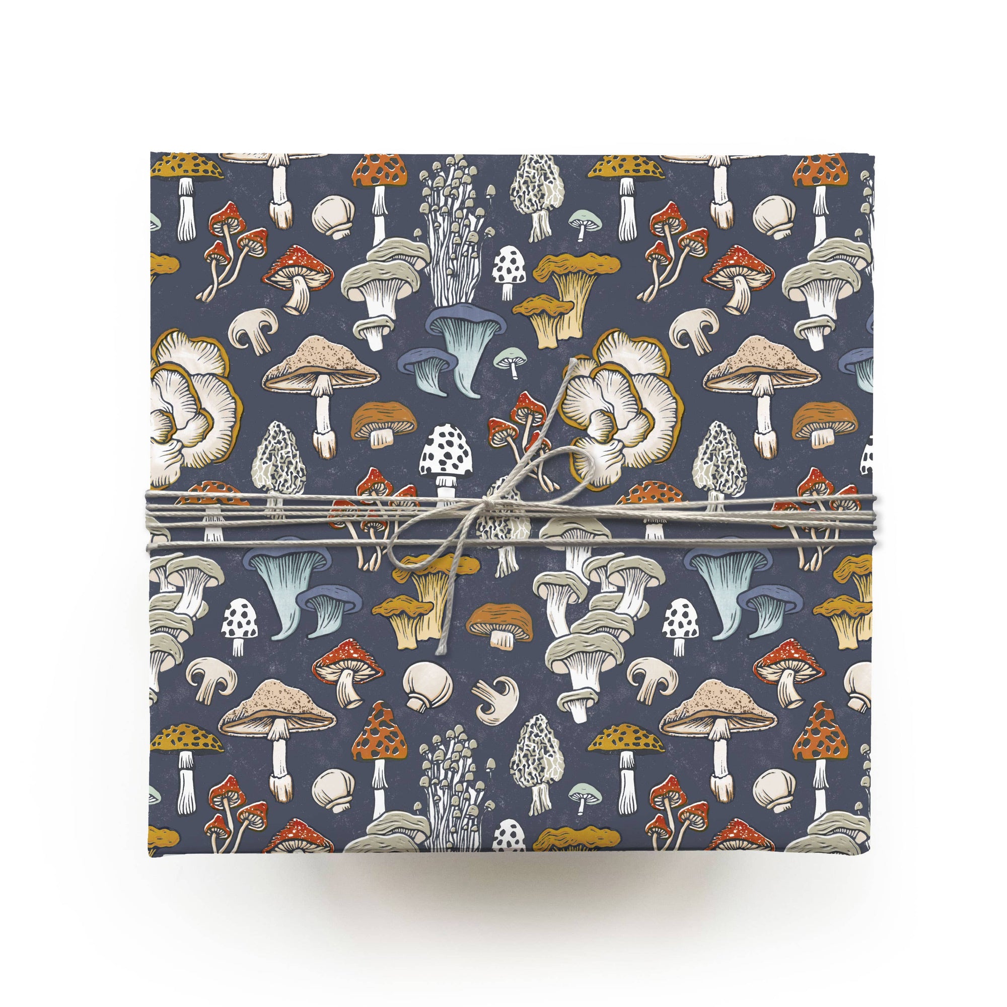 Mushroom + Fungi Gift Wrap