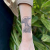 Chanterelle Mushroom Temporary Tattoo