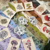 Rainbow Mushrooms Prayer Flags
