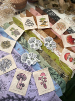 Rainbow Mushrooms Prayer Flags