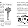 Mycocultural Revolution: Transforming Our World with Fungi