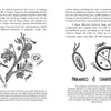 Mycocultural Revolution: Transforming Our World with Fungi
