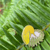 Banana Slug and Fern Enamel Pin