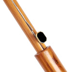 Mushroom Study Umbrella