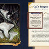 Little Book of Mushrooms by Alex Dorr