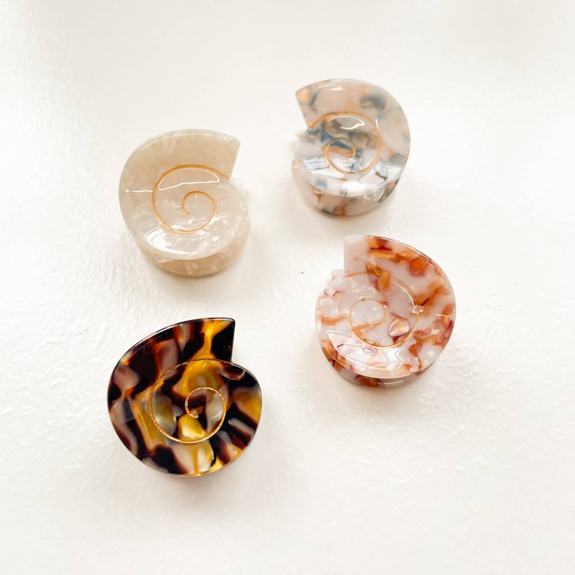 Cora | Small Round Swirly Seashell Claw Clip