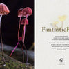 Fantastic Fungi