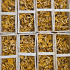 Chanterelles