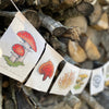 Rainbow Mushrooms Prayer Flags