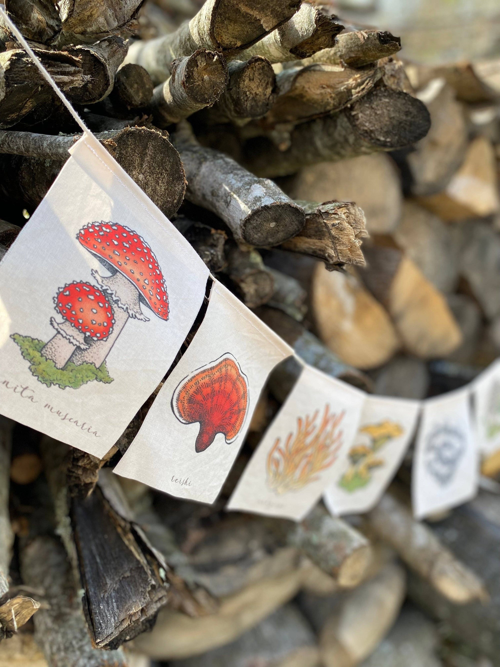 Rainbow Mushrooms Prayer Flags