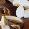 Wine Forest Porcini Powder