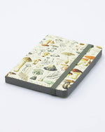 Woodland Mushrooms Observation Softcover (Case of 6)