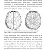 Your Psilocybin Mushroom Companion by Michelle Janikian