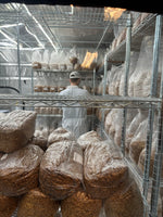 Sterilized Grain Bags