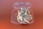 Fresh Blue Oyster Mushrooms