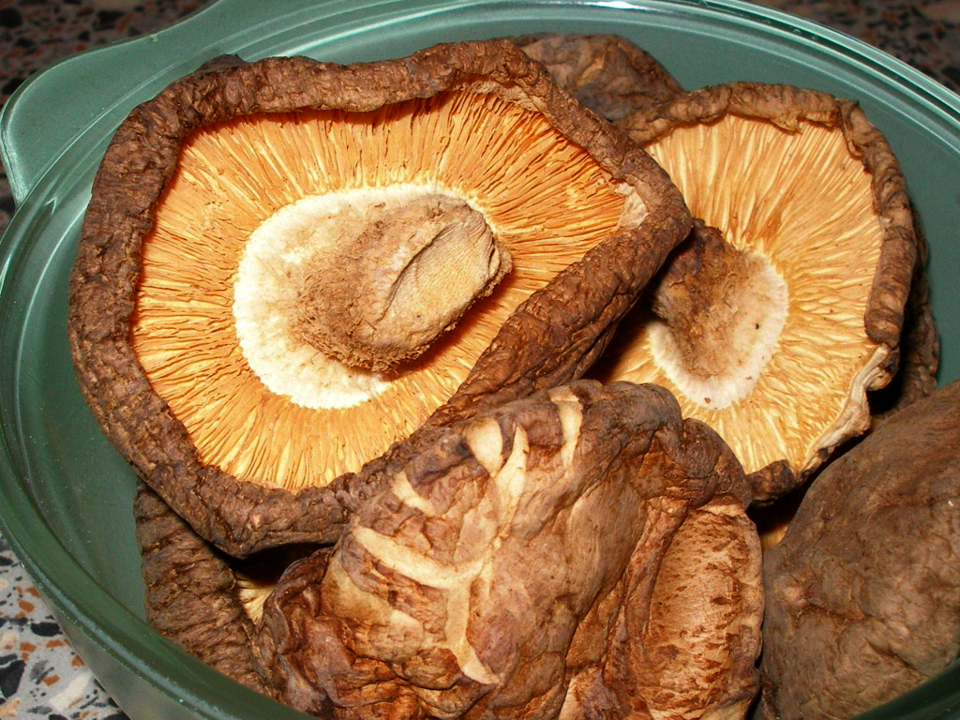 Dried Shiitake Mushroom