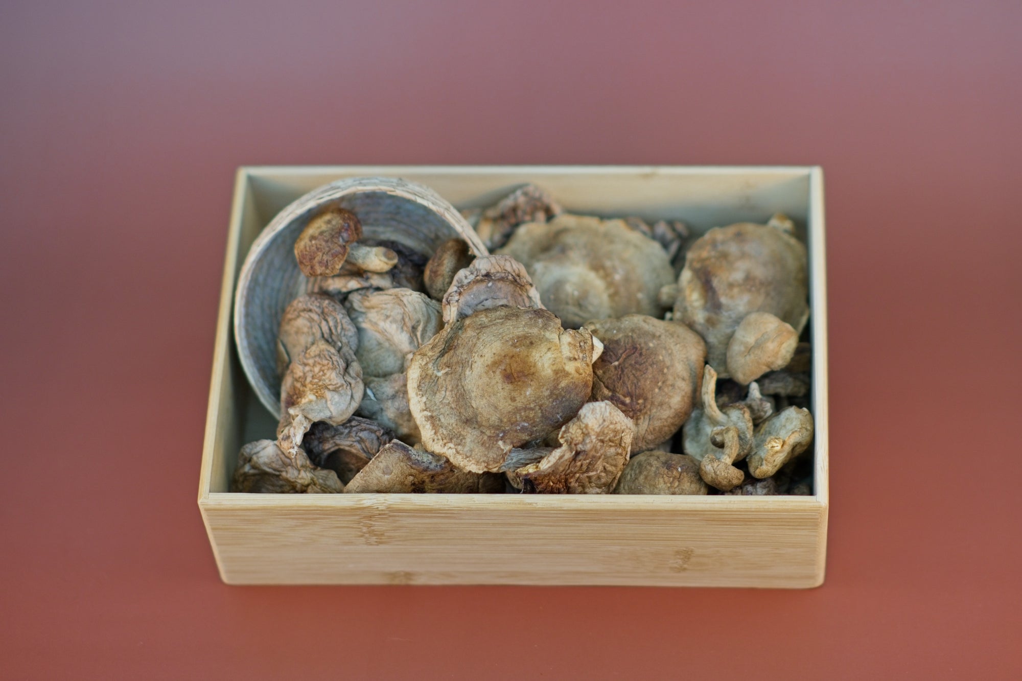 Dried Shiitake Mushroom
