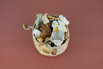 Mixed Mushroom Crunch