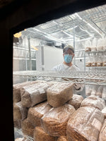Sterilized Grain Bags