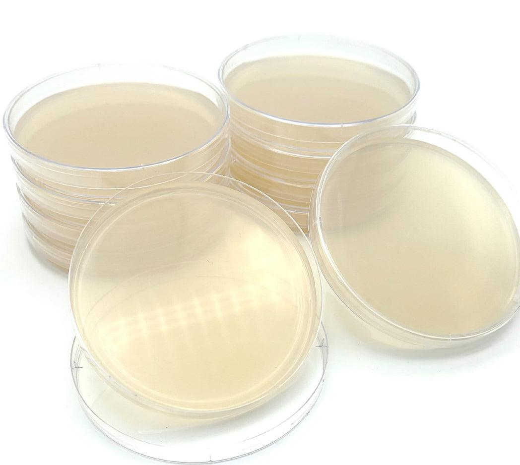 Sterile Agar plate - Petri dish - Grow Supplies