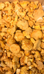 PRE-ORDER Golden Chanterelles - Wild Foraged