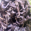 Black Trumpets (Wild Foraged)