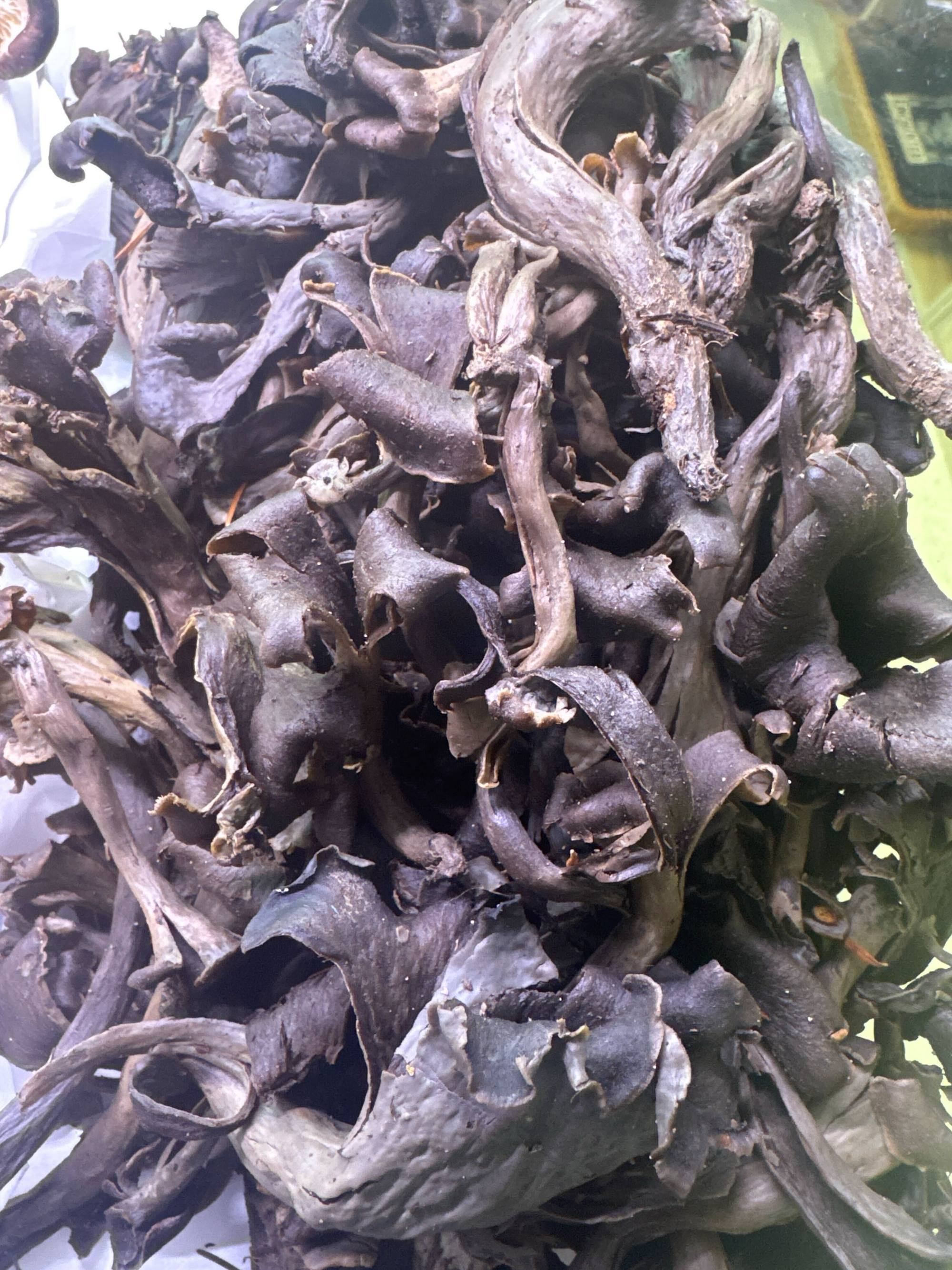 Black Trumpets (Wild Foraged)