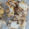 1 oz Dried Mushrooms- Various Types