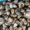 Matsutake (Wild Foraged)