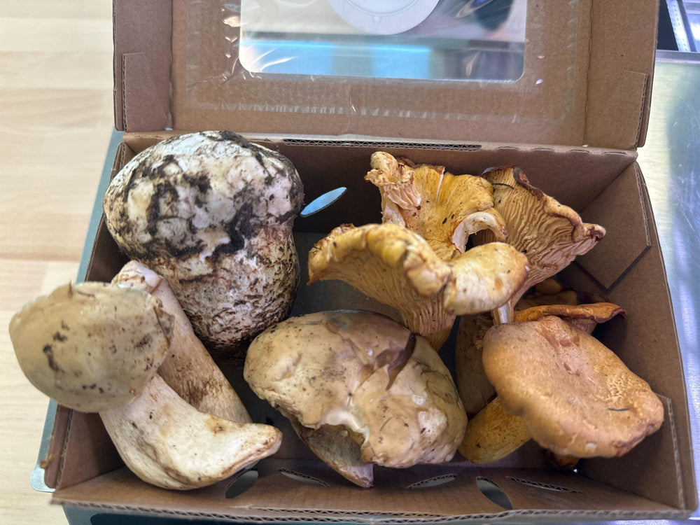 Premium Forager's Pack- Chanterelles, Porcini, Matsutake