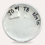 Mushroom Plate Cultures