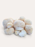 Fresh Lion's Mane Mushroom