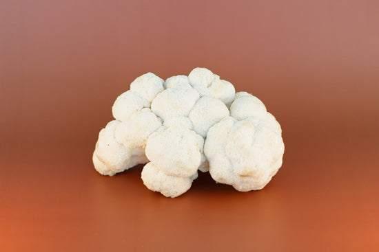 Enchanted Farms Mushrooms