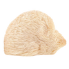 Fresh Lion's Mane Mushroom