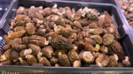 Premium Foragers Mix: Morels. Golden Chanterelles, Lobster