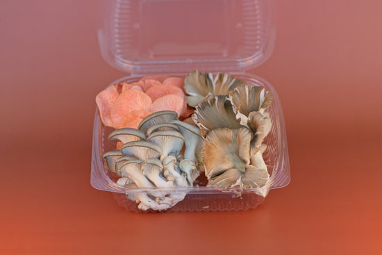 Enchanted Farms Mushrooms