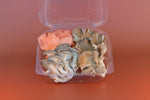Fresh Oyster Mushroom Medley