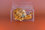 Fresh Pioppino Mushrooms